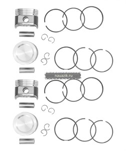 Поршень 101,0 ПОН Кострома (4шт.) дв.4213, 4216 группа Д